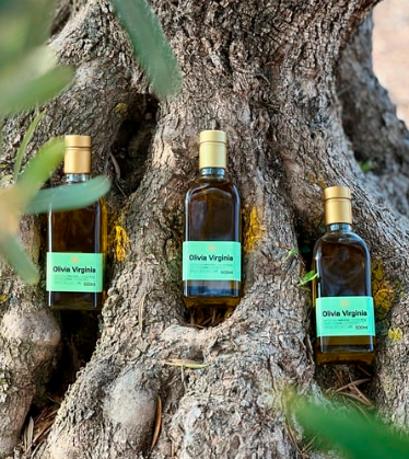 Caja 6 botellas de 500 ml